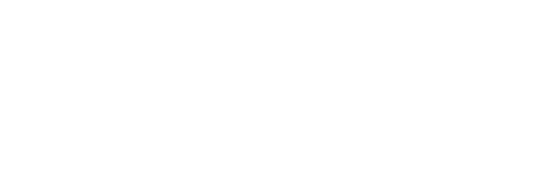Wonder Capsule Logo - White